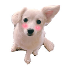 NATSUMI_20211011210252