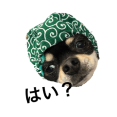 konami.h
