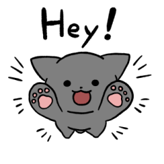 Gray cat (English) 2