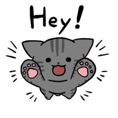 Silver tabby cat (English) 2