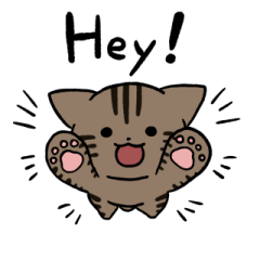 Brown tabby cat (English) 2