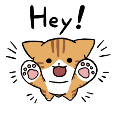 Red tabby and white cat (English) 2