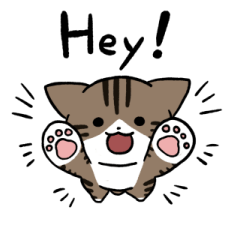 Brown tabby and white cat (English) 2