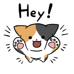 Calico cat (English) 2