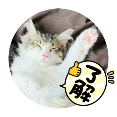 mizuki_20211011230345