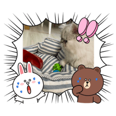 chie_20211012012945