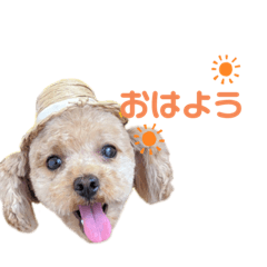 Kuu_20211012020600