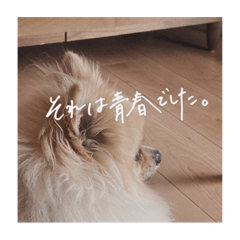 saya_20211012123752