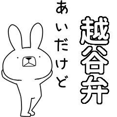 BIG Dialect rabbit[koshigaya]