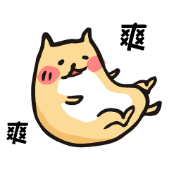 Cosmic cute Shiba Inu (little fat dog)