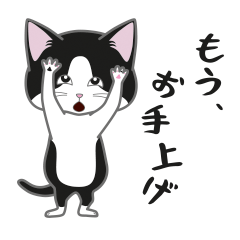 nyanchokorin[black and white cat]