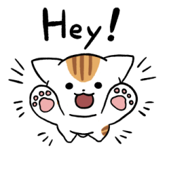 White and red tabby cat (English) 2