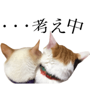 kawaiineko!!
