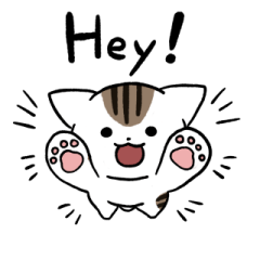 White and brown tabby cat (English) 2