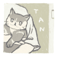 TAN the cat
