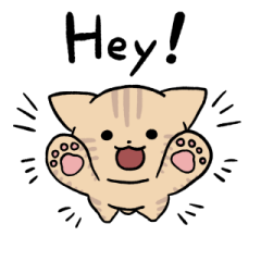 Cream tabby cat (English) 2