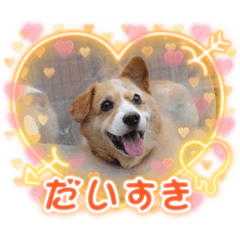 miki_20211012220552