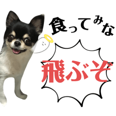 coco.m.i_20211013010040