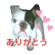 okapiii_20211013034040