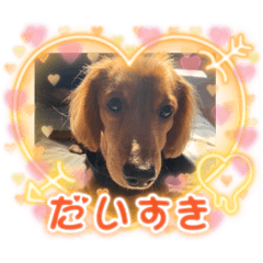 tori_20211012185119