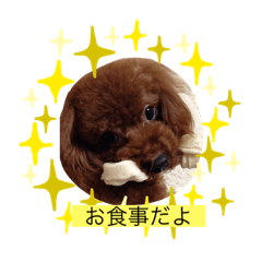ace_20211012220858