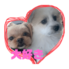 yukina_20211012230333