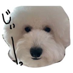 PONTA_20211013002101