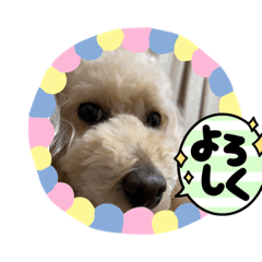 saya_20211013115256