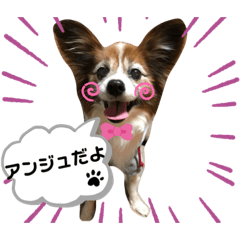 yuka_20211013015718