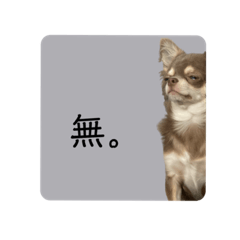 tomomi_20211012210725