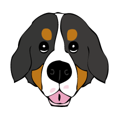 Sticker of Bernese Mountain Dog Aaron