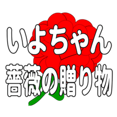 いよちゃんに送るハートのバラ