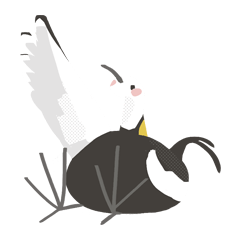Pheasant-tailed Jacana need your heip