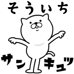 あおいぷん★そういち★専用☆動くねこ