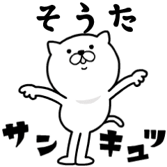 あおいぷん★そうた★専用☆動くねこ
