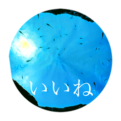 Yuto_20211013145416