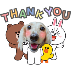 我是可愛的豆豆x兔兔好友們