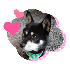 yuka_20211012201113
