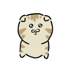 Short-legged munchkin cat