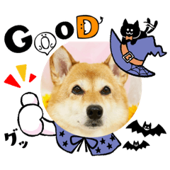 haruMix_20211013161507