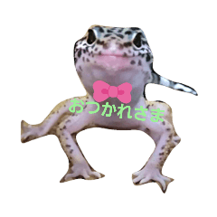 miki_20211013175140