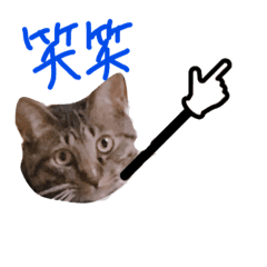 ぷっかの指差し棒 Line スタンプ Line Store