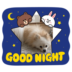 chie_20211013190129
