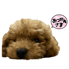 Yuina_20211013195104