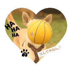 tomomi_20211013204611