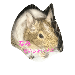 Nami designated part2(degu)