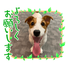 John_20211013230128