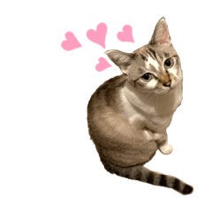 kinaco_20211013182255