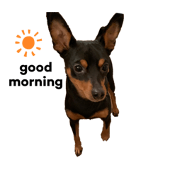 coco0124_01