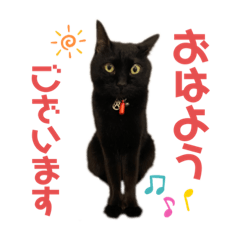 ayumi_20211013223555